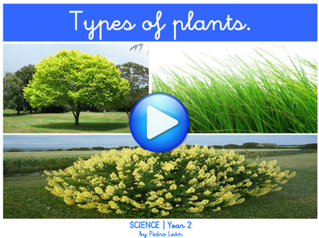 science2planttypes_presentation